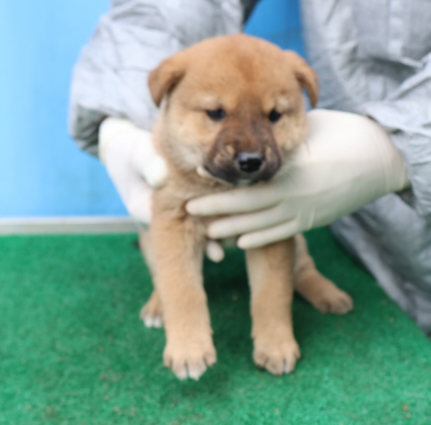 제주 동물보호센터_450650202500573