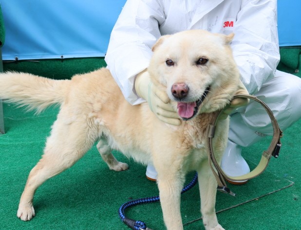 제주 동물보호센터_450650202500576