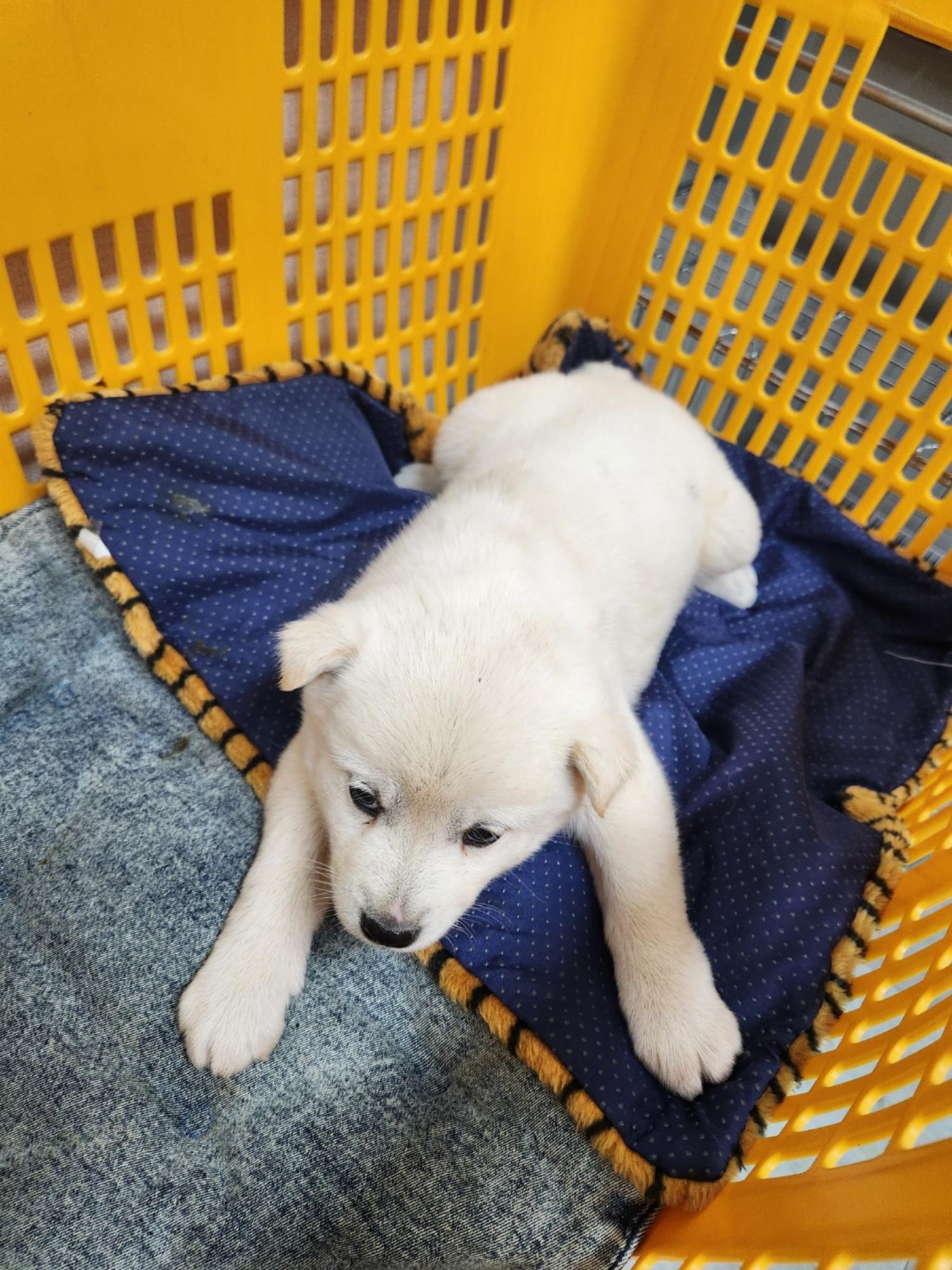 패밀리동물병원_445464202500901