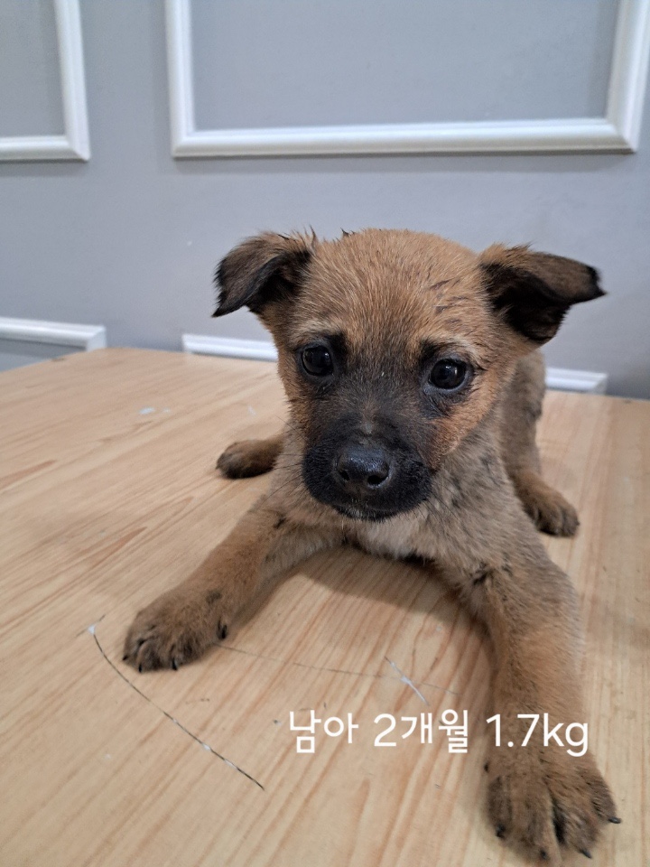옥천동물병원_443443202500179