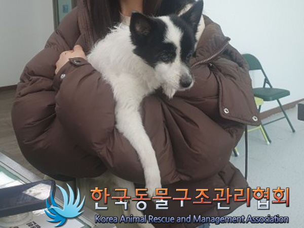 한국동물구조관리협회_411301202500105
