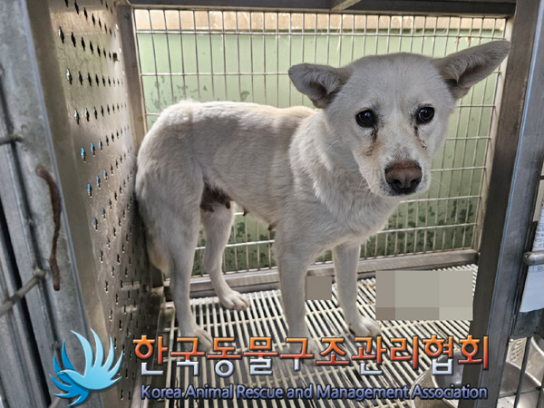 한국동물구조관리협회_441406202500160