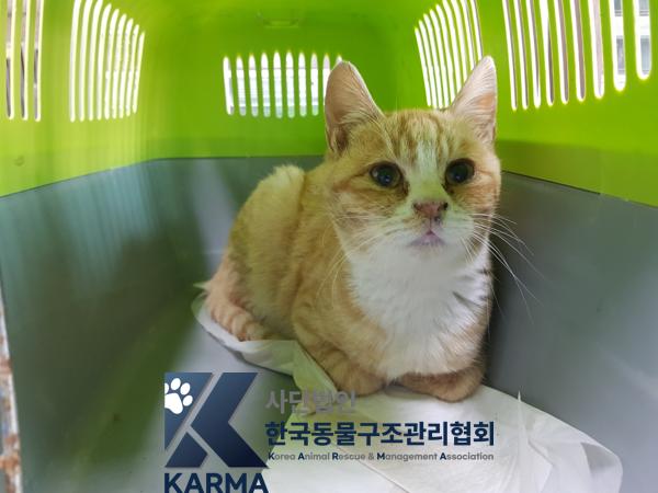 한국동물구조관리협회_411300202500025