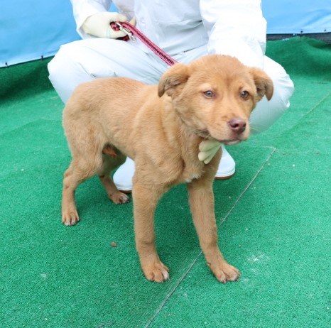 제주 동물보호센터_450650202500578