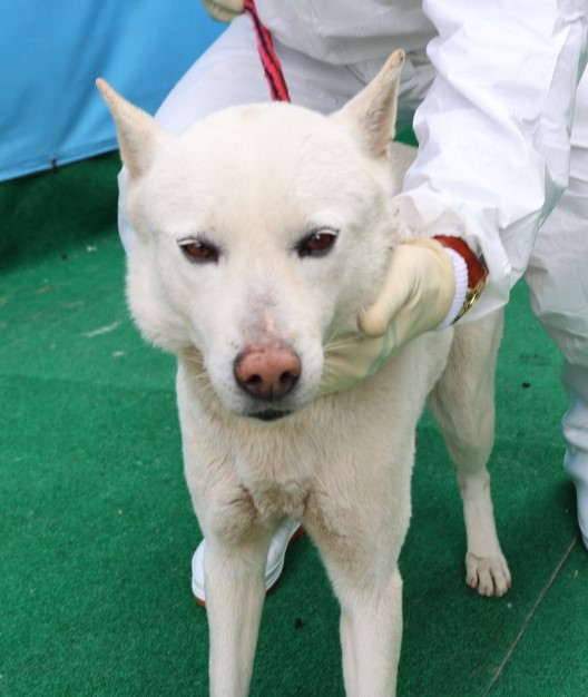제주 동물보호센터_450650202500581