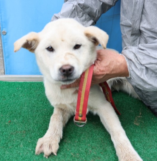 제주 동물보호센터_450650202500579