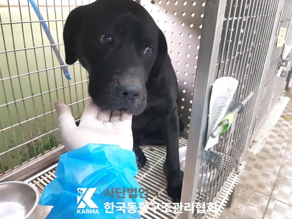 종료(자연사) 라브…