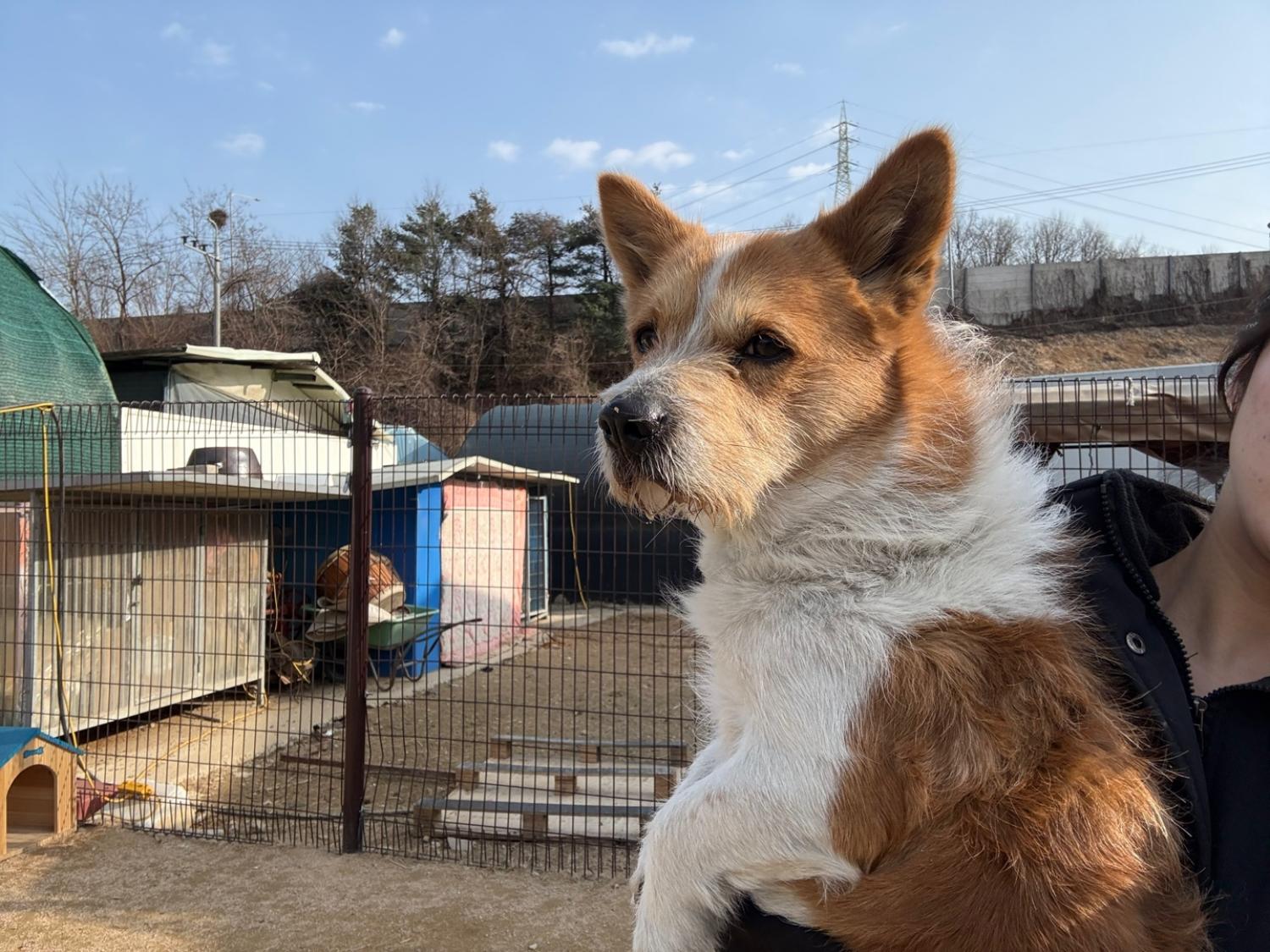 한국야생동물보호협회_441393202500354