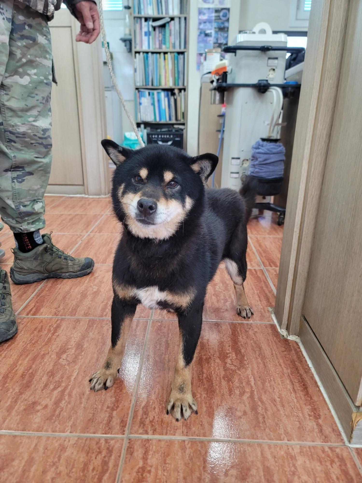 증평 가정견 훈련소_443445202500090