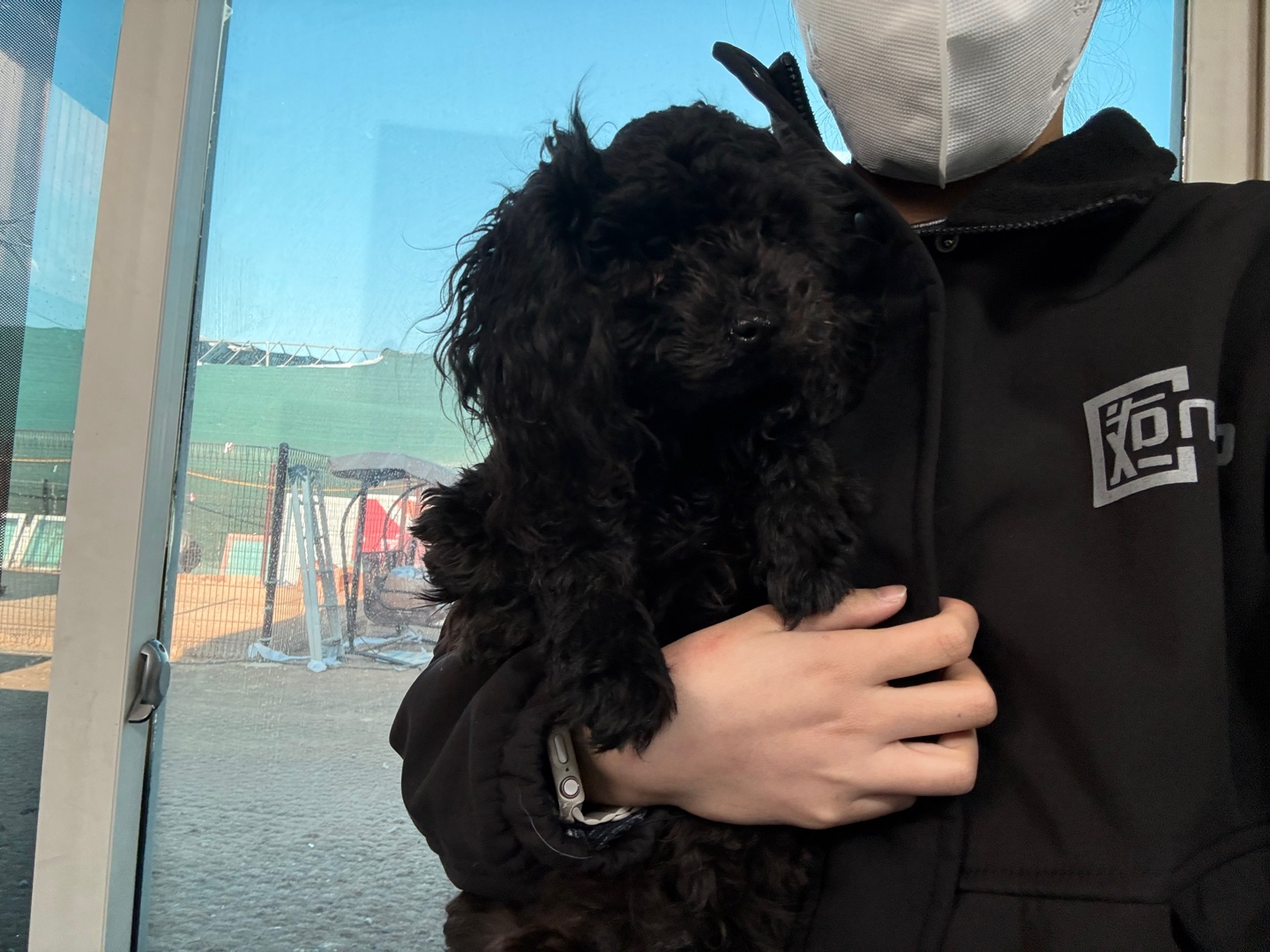 한국야생동물보호협회_441393202500374