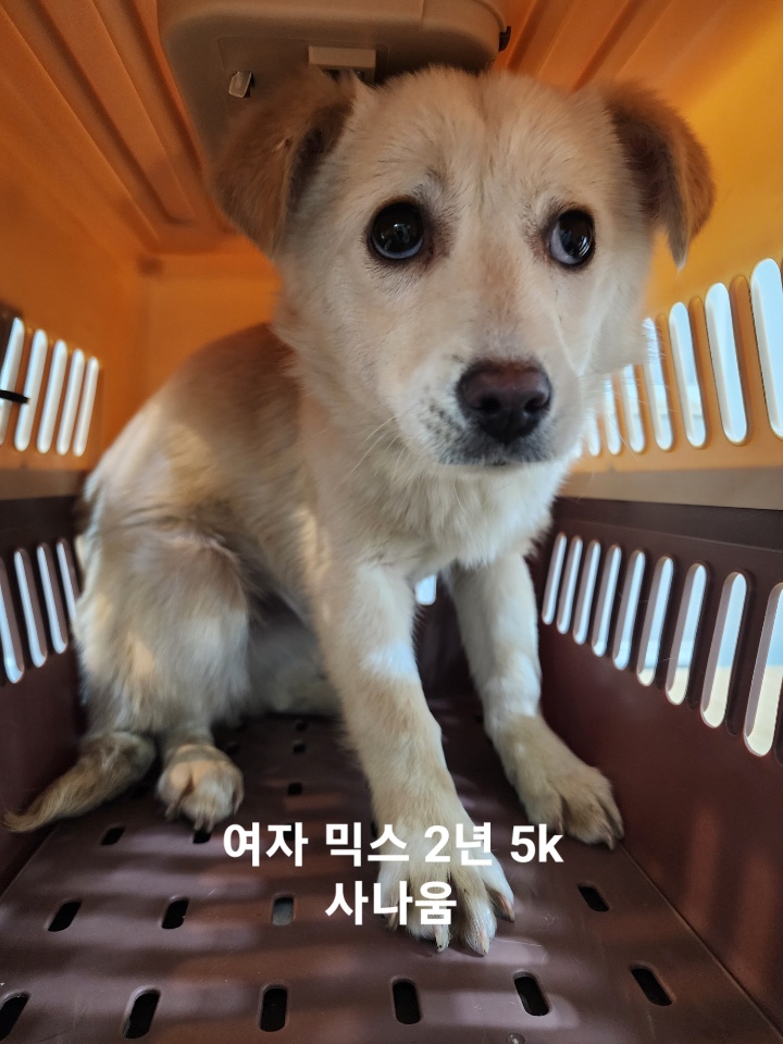 옥천동물병원_443443202500186