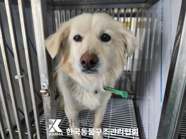 한국동물구조관리협회_441409202500330