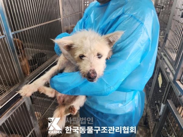 한국동물구조관리협회_411317202500064