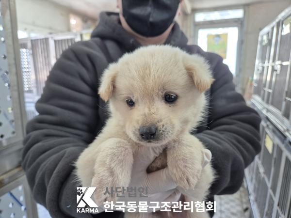 한국동물구조관리협회_441560202500272