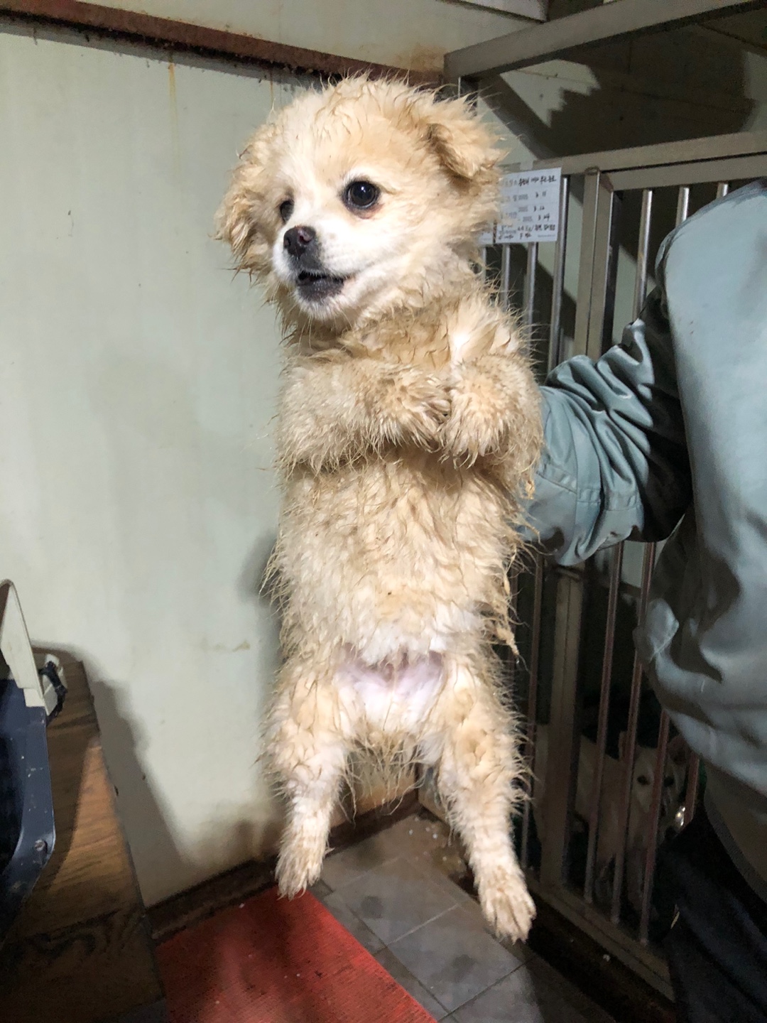 디디동물병원_428357202500168