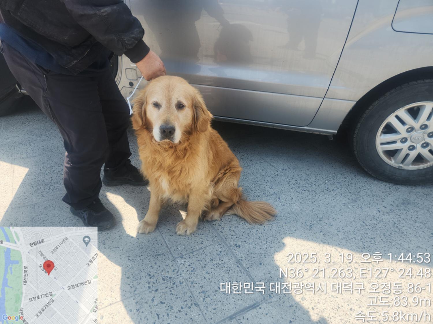 종료(반환) 골든 …