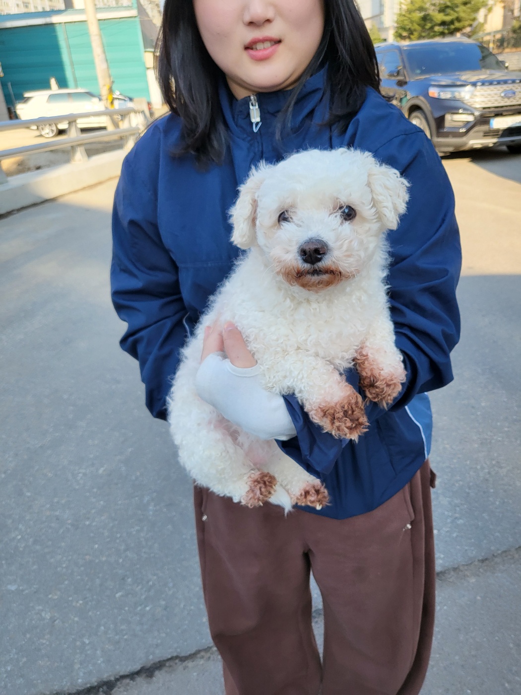 평택시유기동물보호소_441391202500518