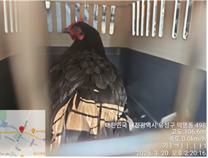 대전동물보호센터_430367202500137