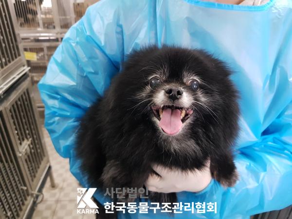 한국동물구조관리협회_411304202500097