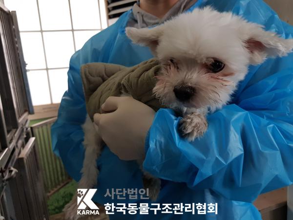 한국동물구조관리협회_441398202500111