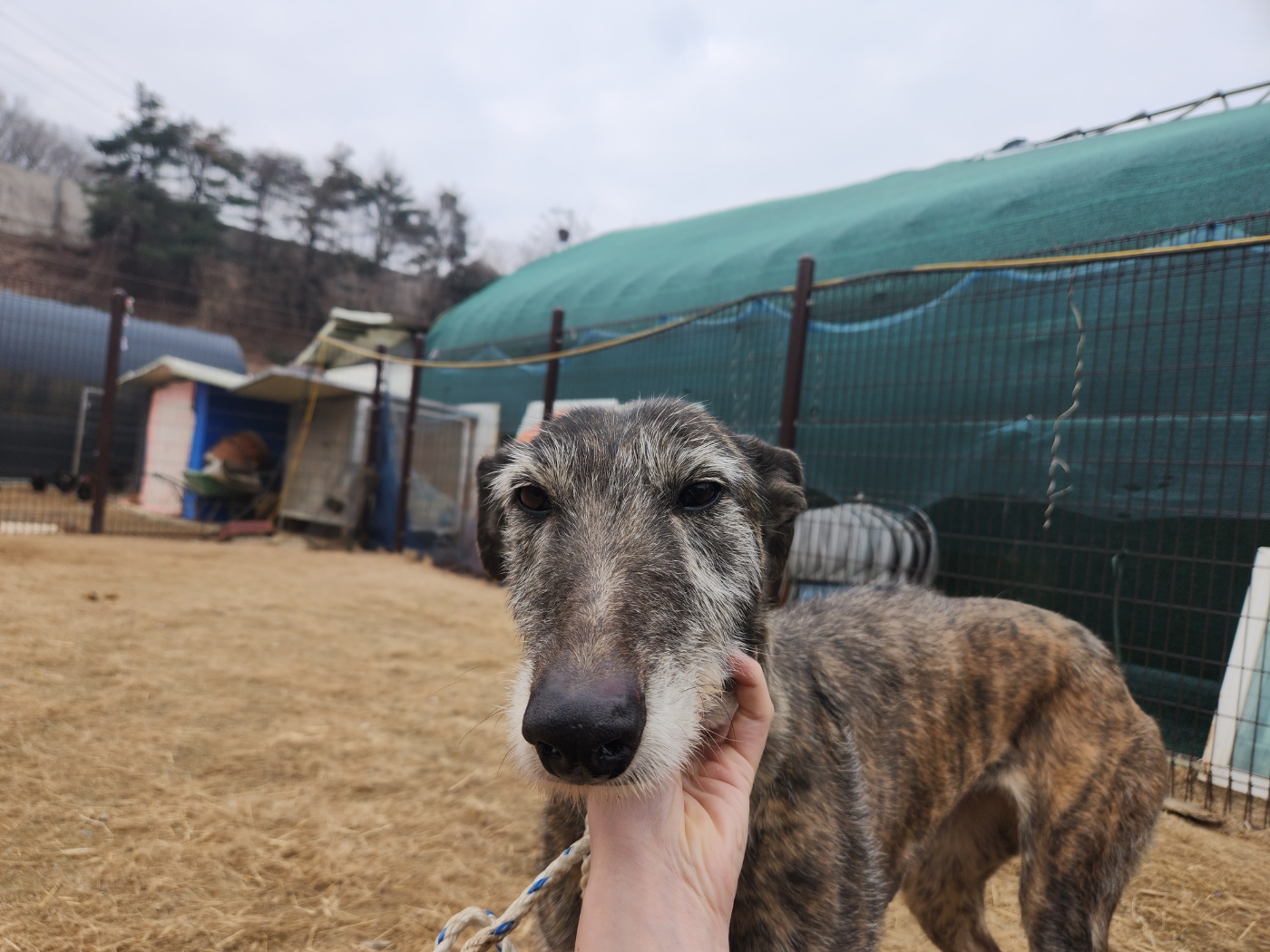 한국야생동물보호협회_441393202500305