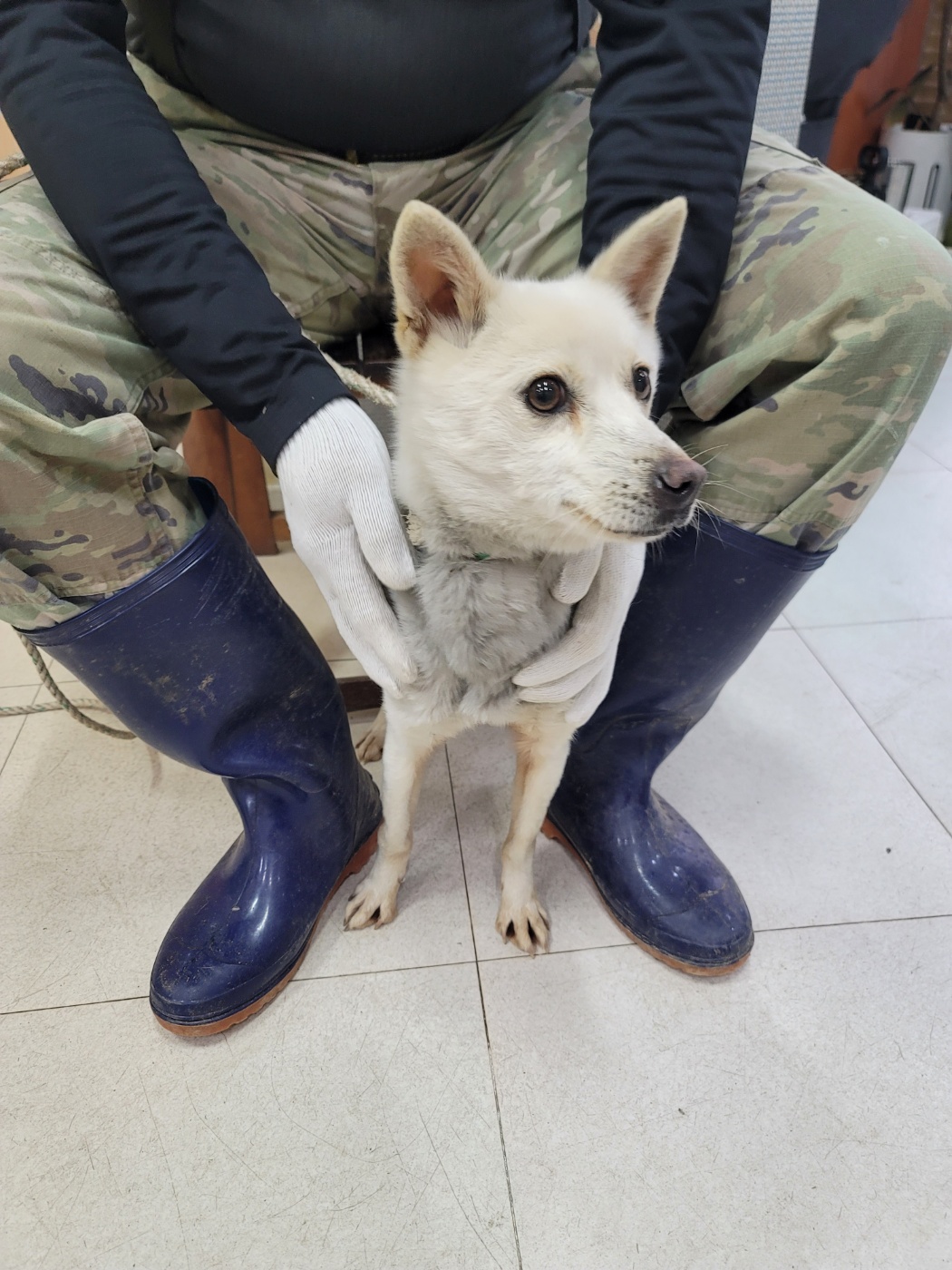가정견훈련소_443557202500018