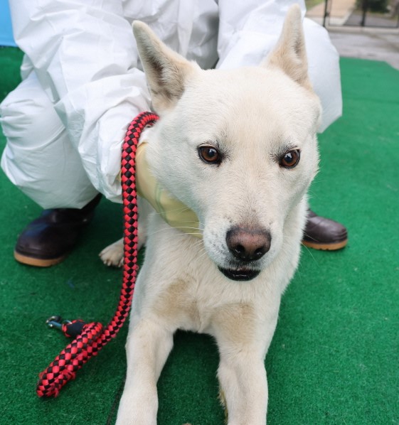 제주 동물보호센터_450650202500554