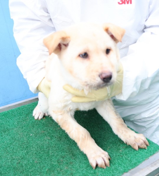제주 동물보호센터_450650202500558