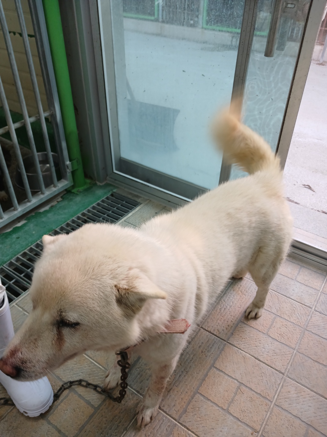 영주시 동물보호센터_447509202500073