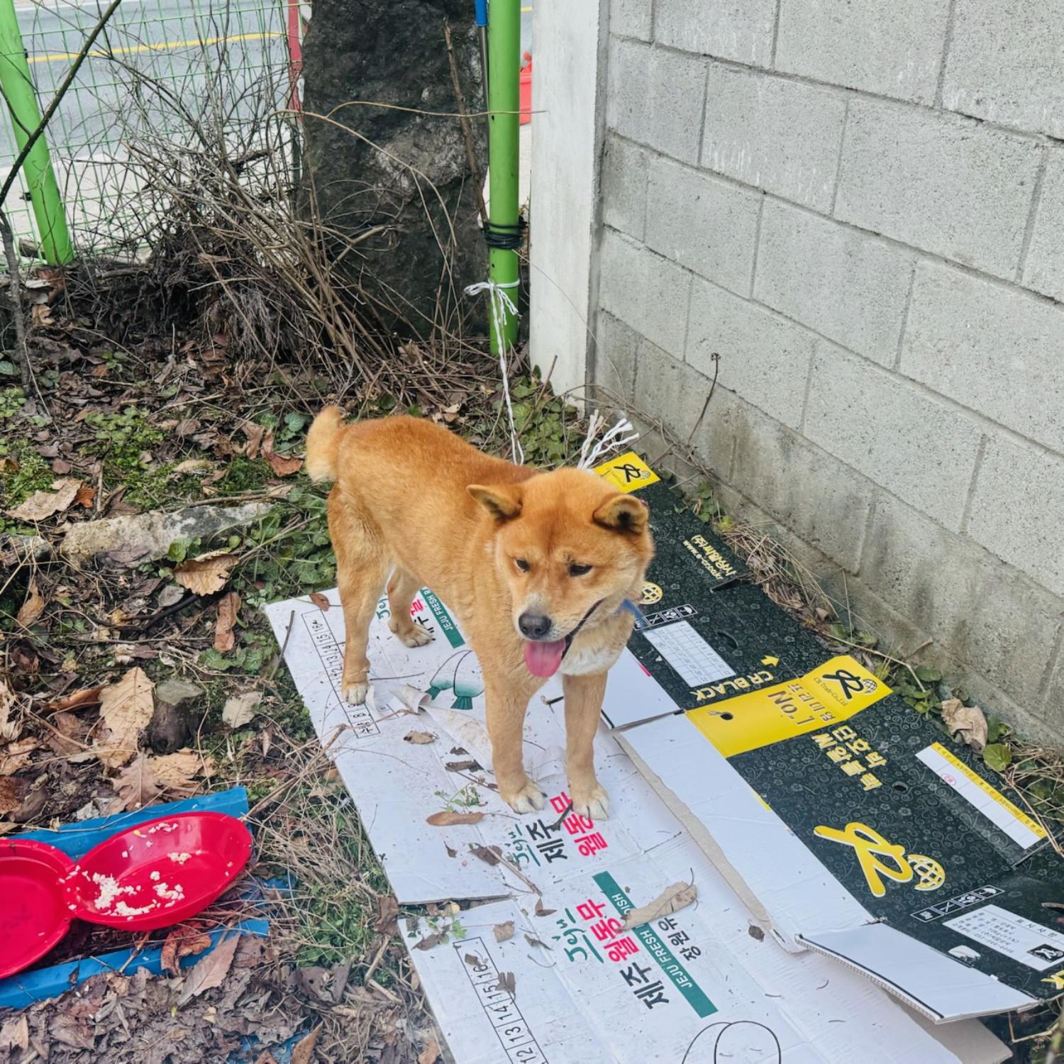 제일동물병원_444455202500165