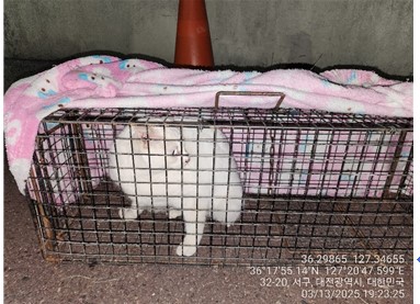 대전동물보호센터_430366202500131