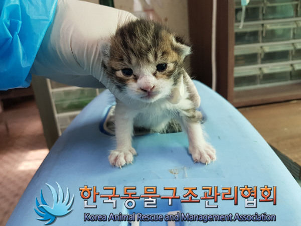 종료(자연사) 한국…