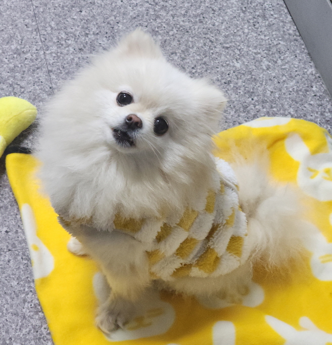 점곡동물보호센터_447516202500049