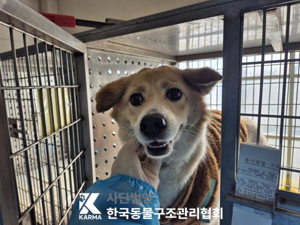 한국동물구조관리협회_411310202500112