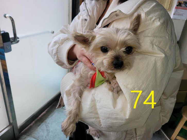 신영재동물병원_428355202500082