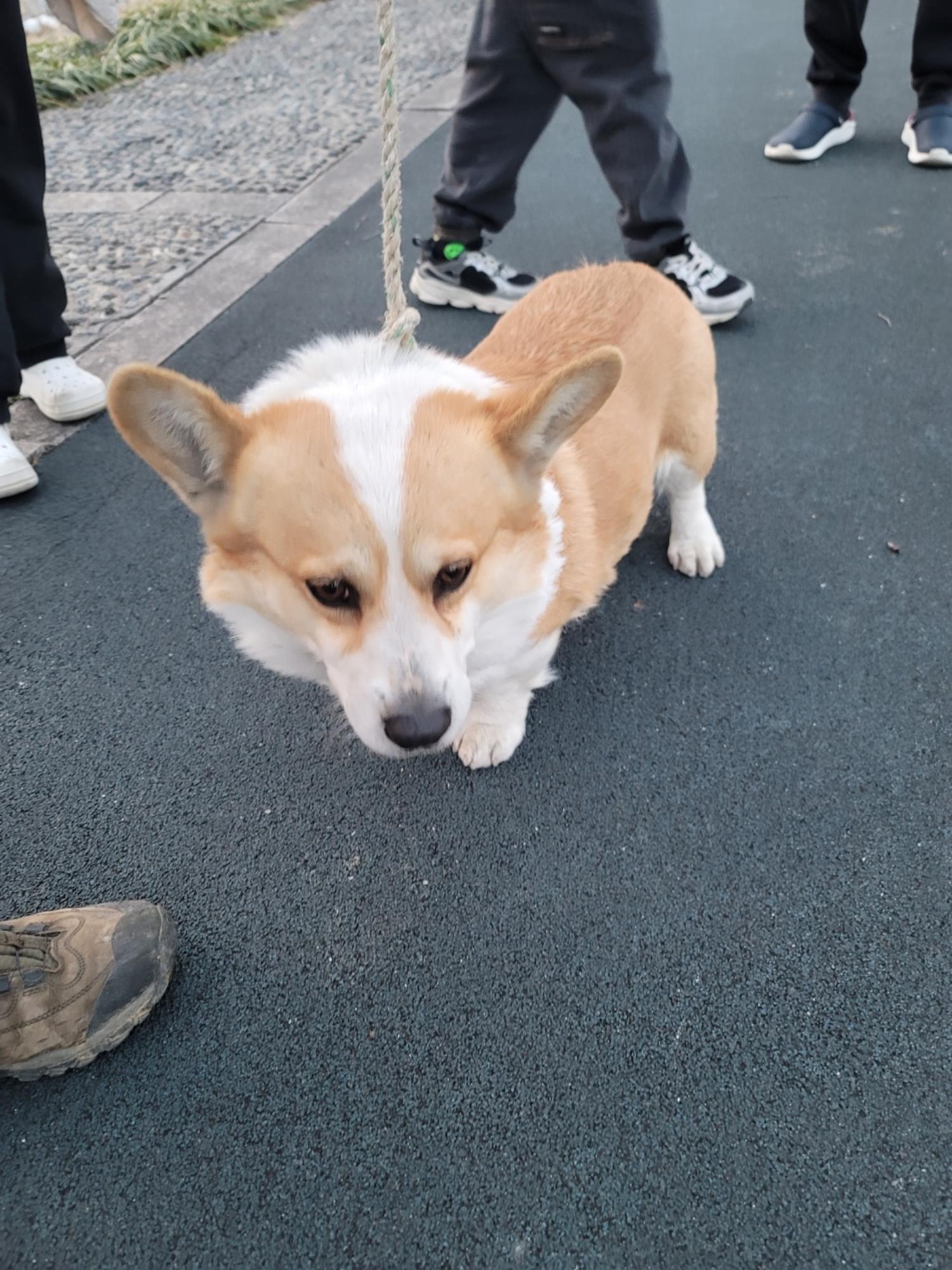 괴산증평동물보호센터_443446202500047