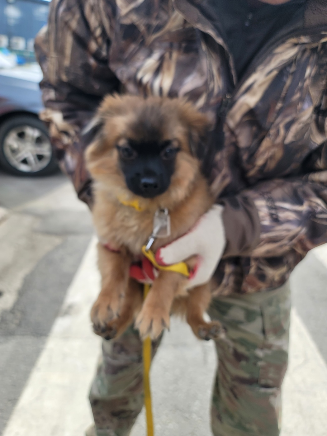 괴산증평동물보호센터_443446202500048