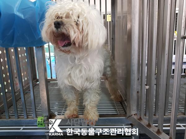 한국동물구조관리협회_411306202500198