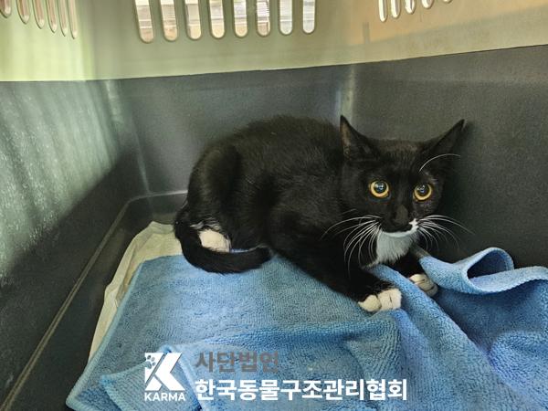 종료(자연사) 한국…