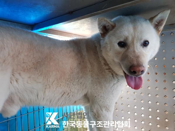 한국동물구조관리협회_411311202500121