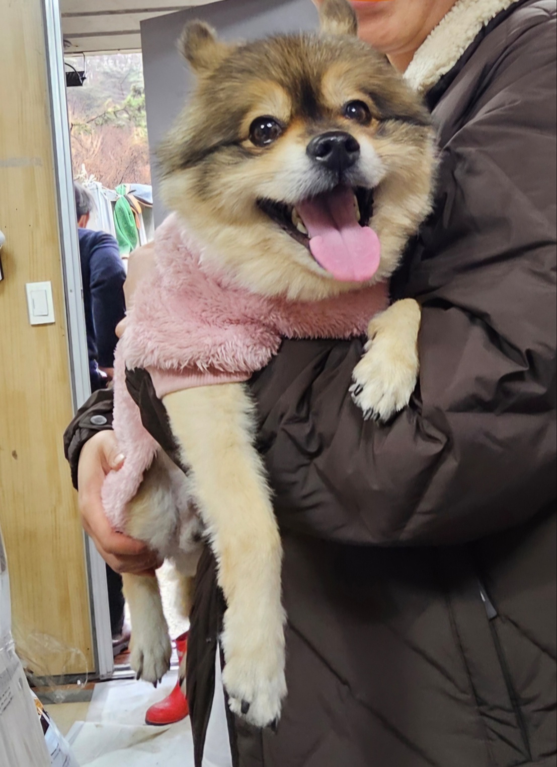 울산유기동물보호센터_431373202500114