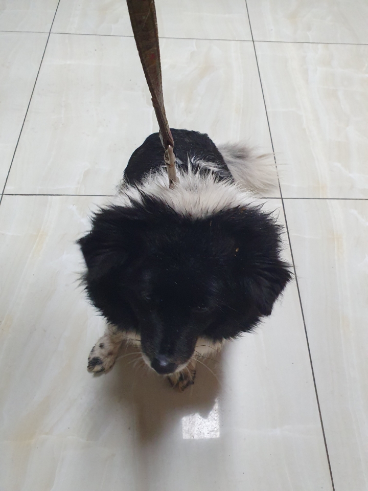 최종주동물병원_443444202500087