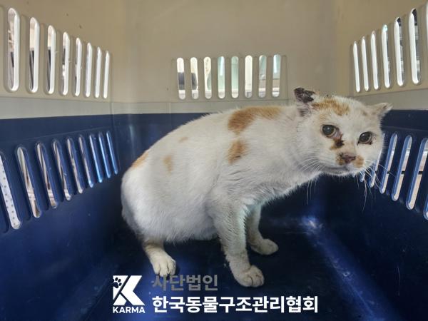 한국동물구조관리협회_441414202500112