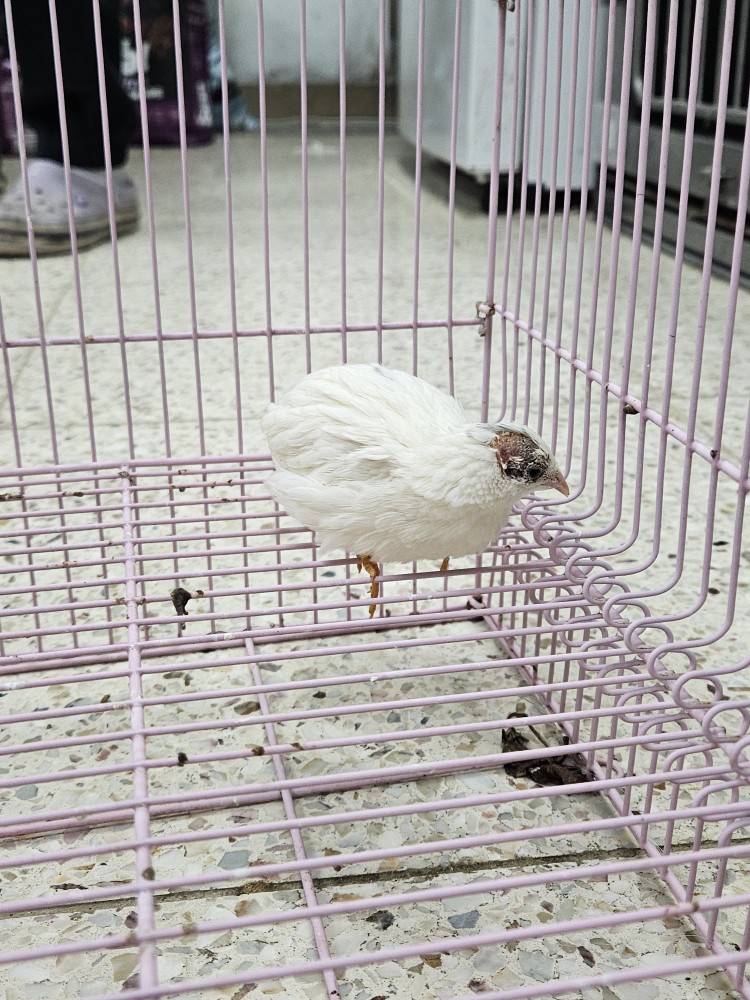 반려동물보호센터_443571202500621