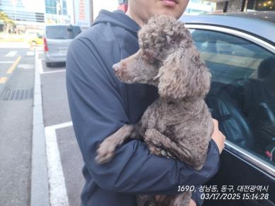 대전동물보호센터_430364202500061