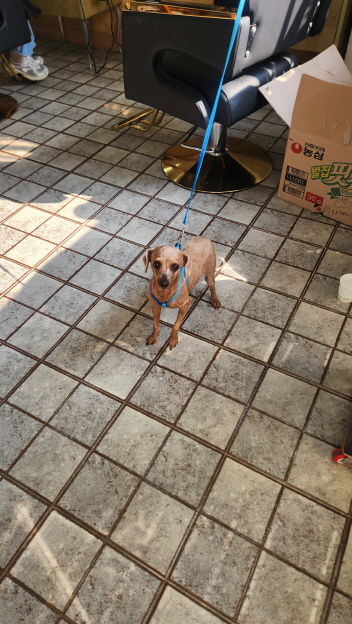 익산유기동물보호소_445468202500660
