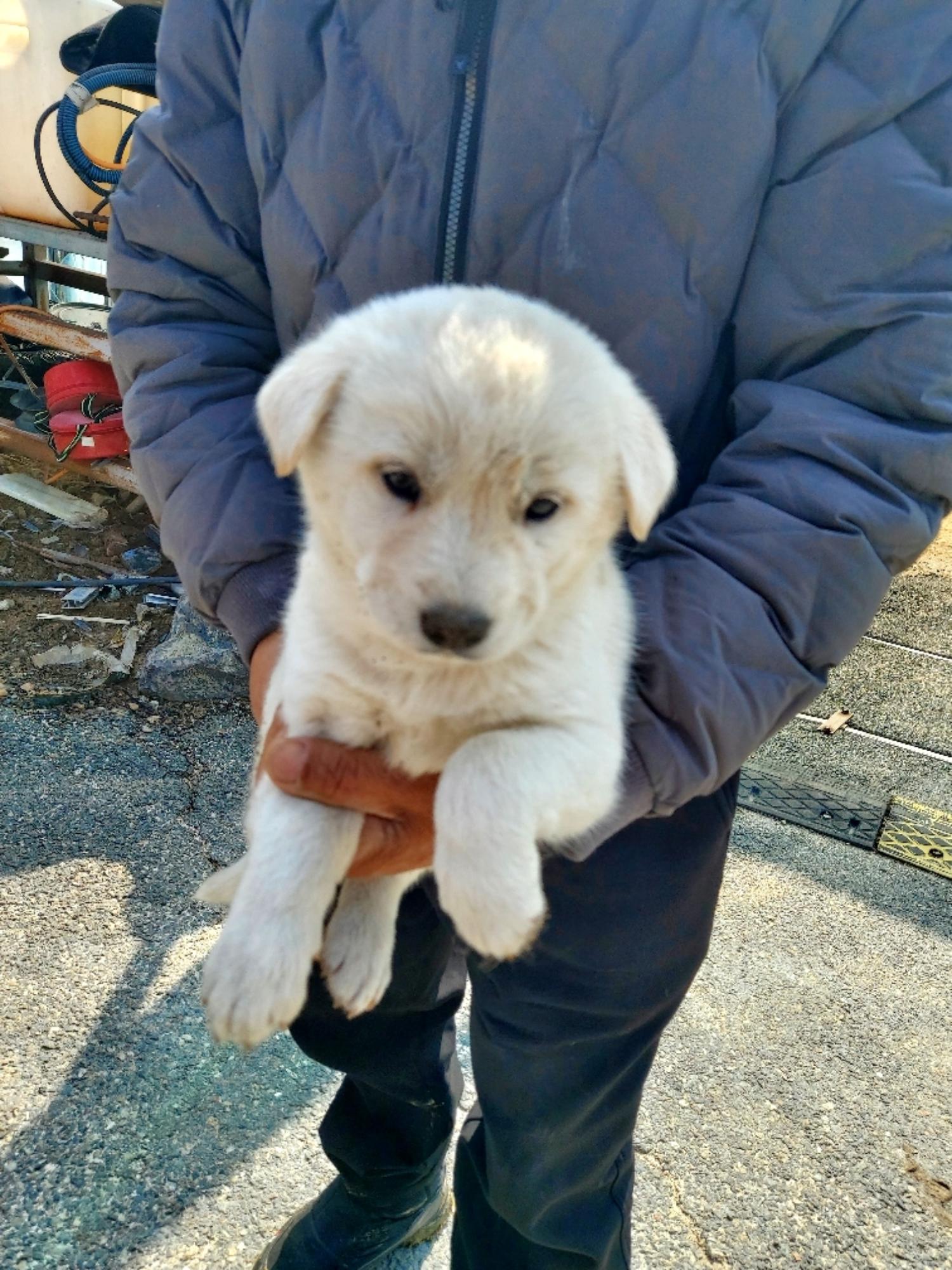 제일동물병원_444455202500205