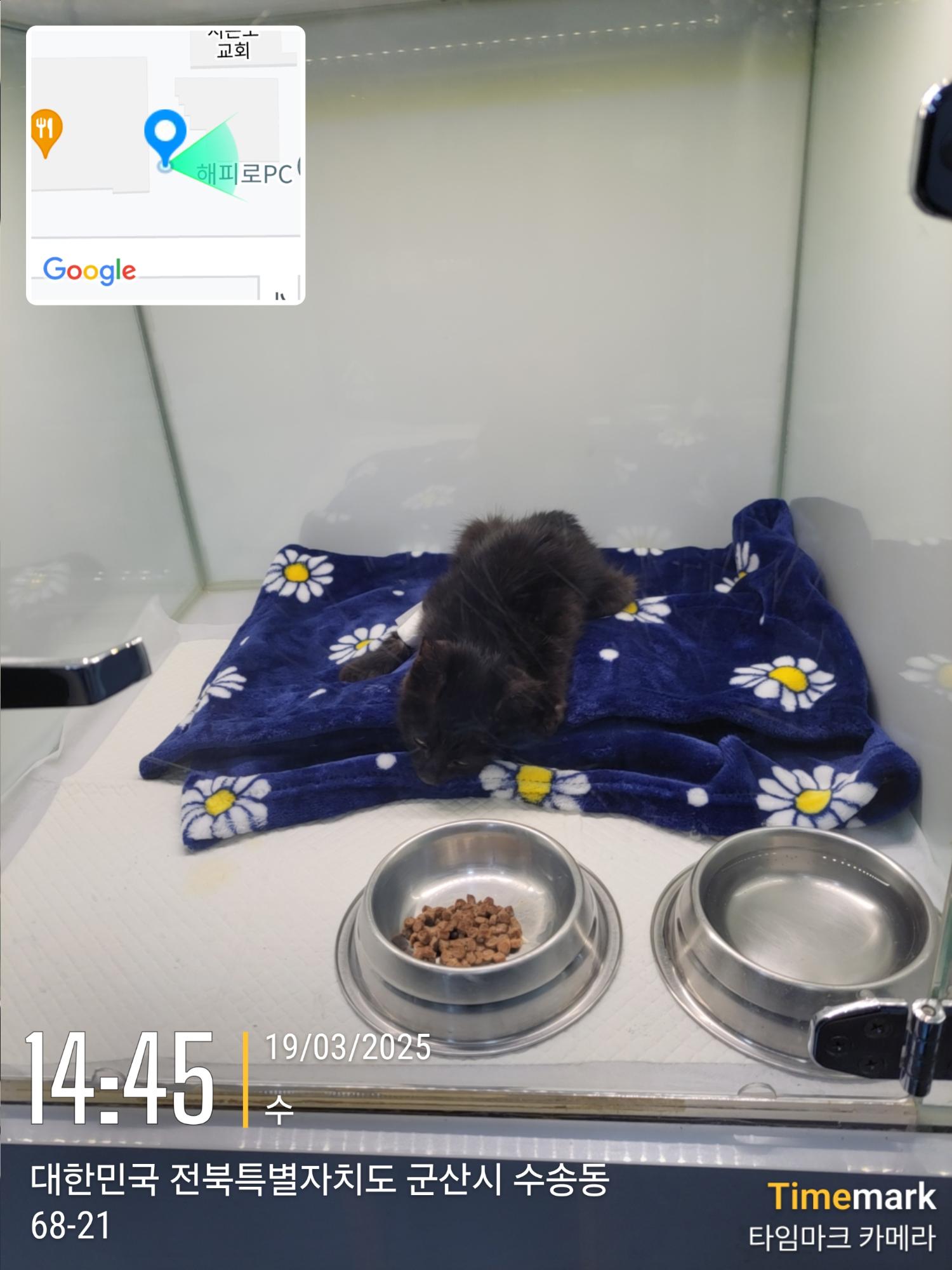 군산유기동물보호센터_445467202500262
