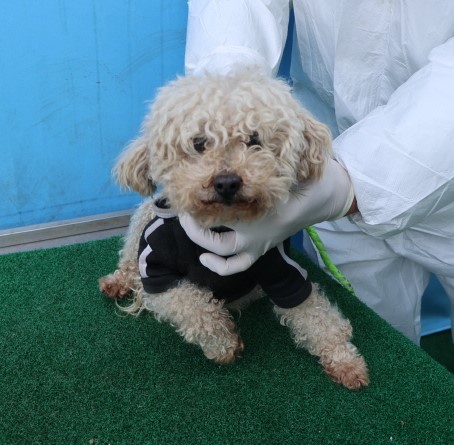제주 동물보호센터_450650202500623