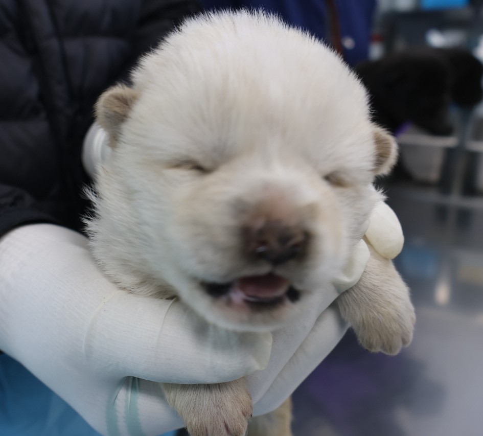 제주 동물보호센터_450650202500613